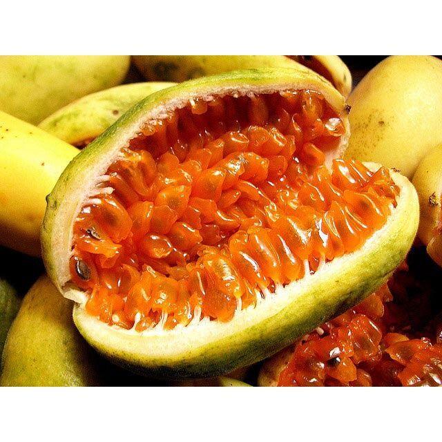 Cây Chanh Leo Chuối Nam Mỹ, chanh dây chuối giống