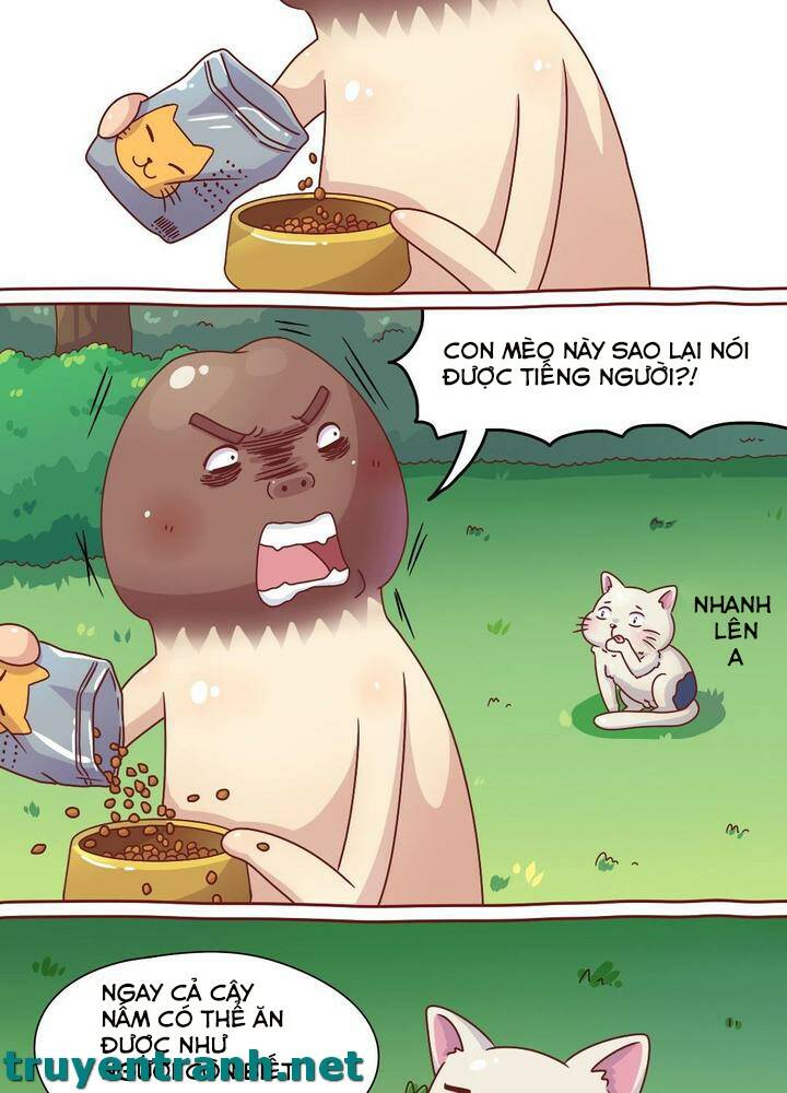 cây nấm kì khả chapter 7 5