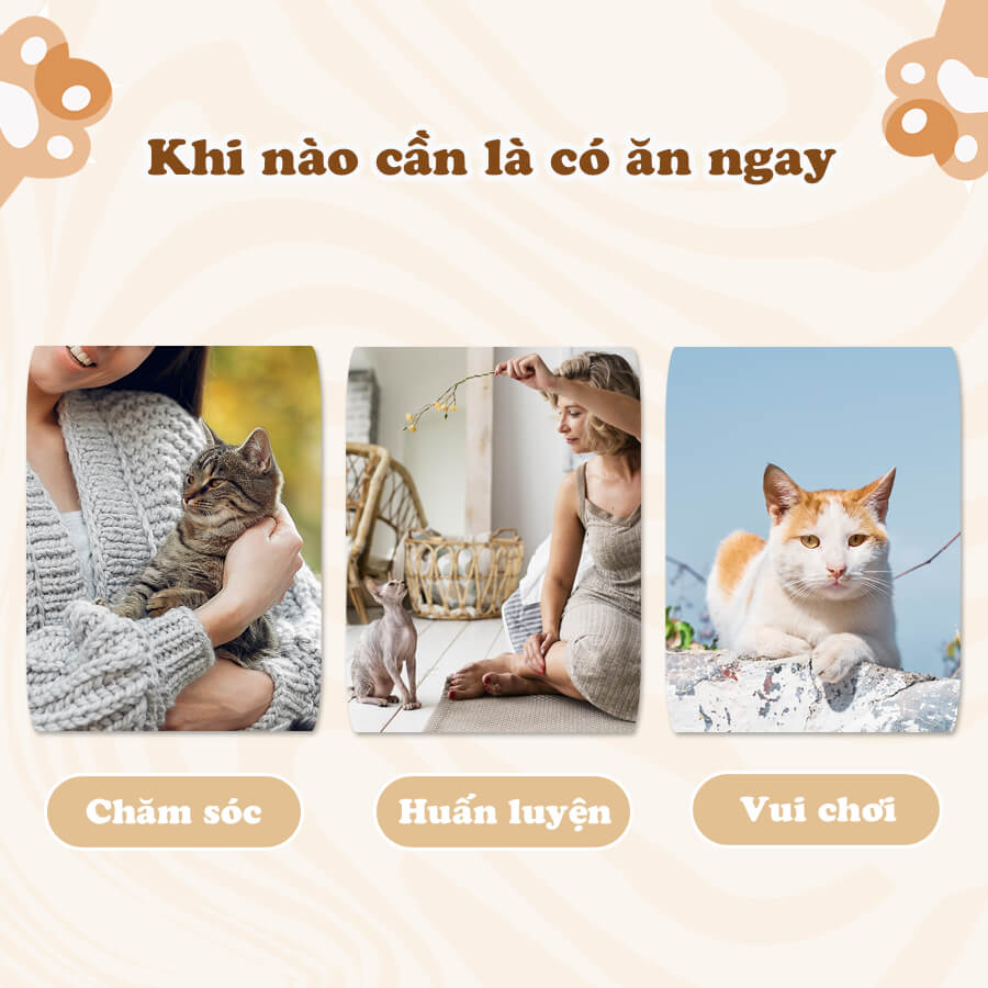 Chip cá ngừ cho mèo 30g Catty Snack