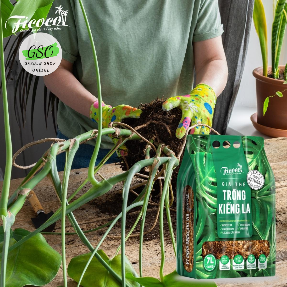 ĐẤT TRỒNG - GIÁ THỂ TRỒNG KIỂNG LÁ 7L 1.6KG - FICOCO