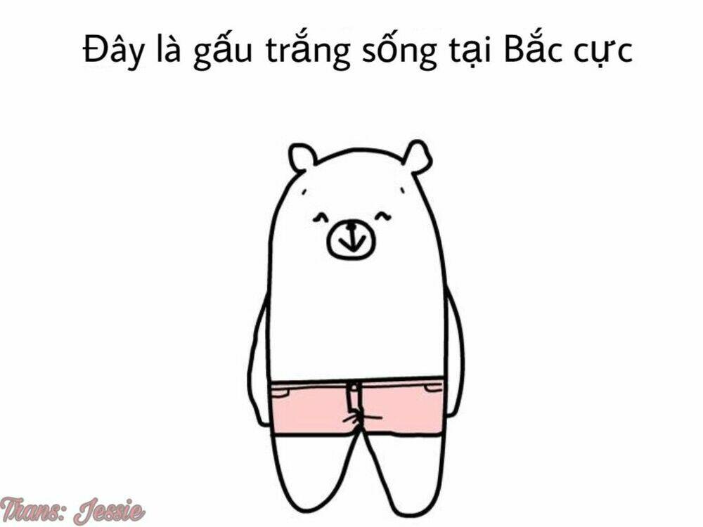 the life of the three bears chapter 1 1