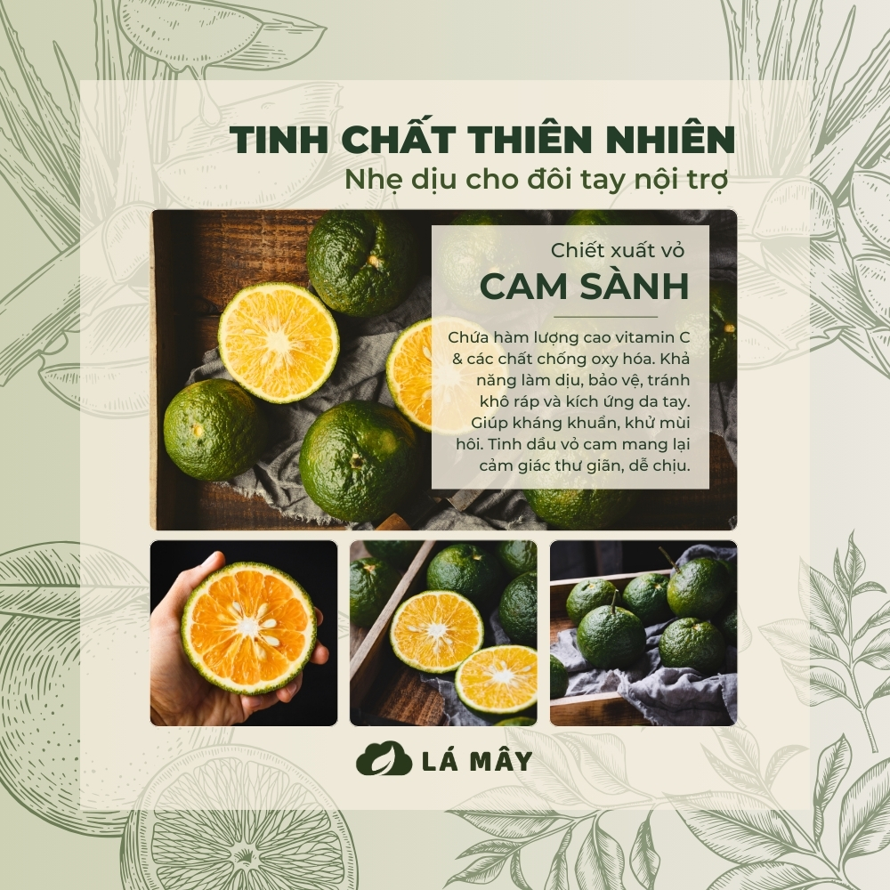 NƯỚC LAU ĐA NĂNG TÍA TÔ &amp; CAM XANH LÁ MÂY 200 mL