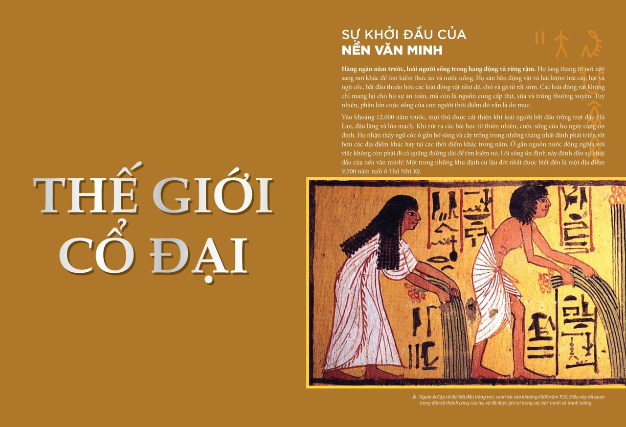 Lịch sử thế giới bằng tranh
