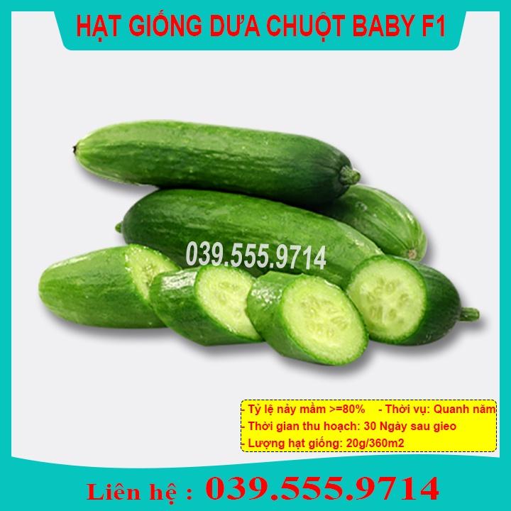 Hạt Giống Dưa Chuột Chùm Baby - Dưa Siệu Quả
