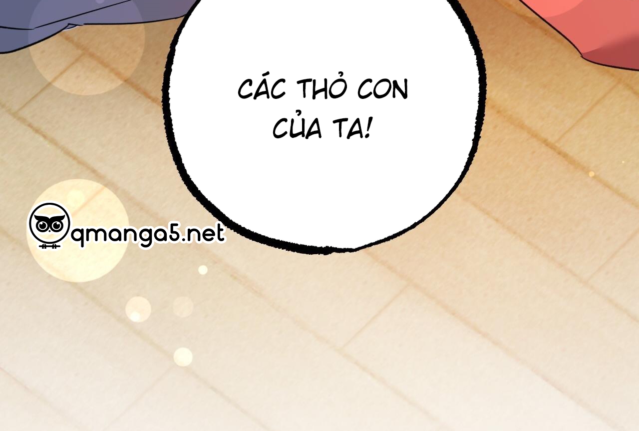 đàn thỏ của habibi chapter 65 287