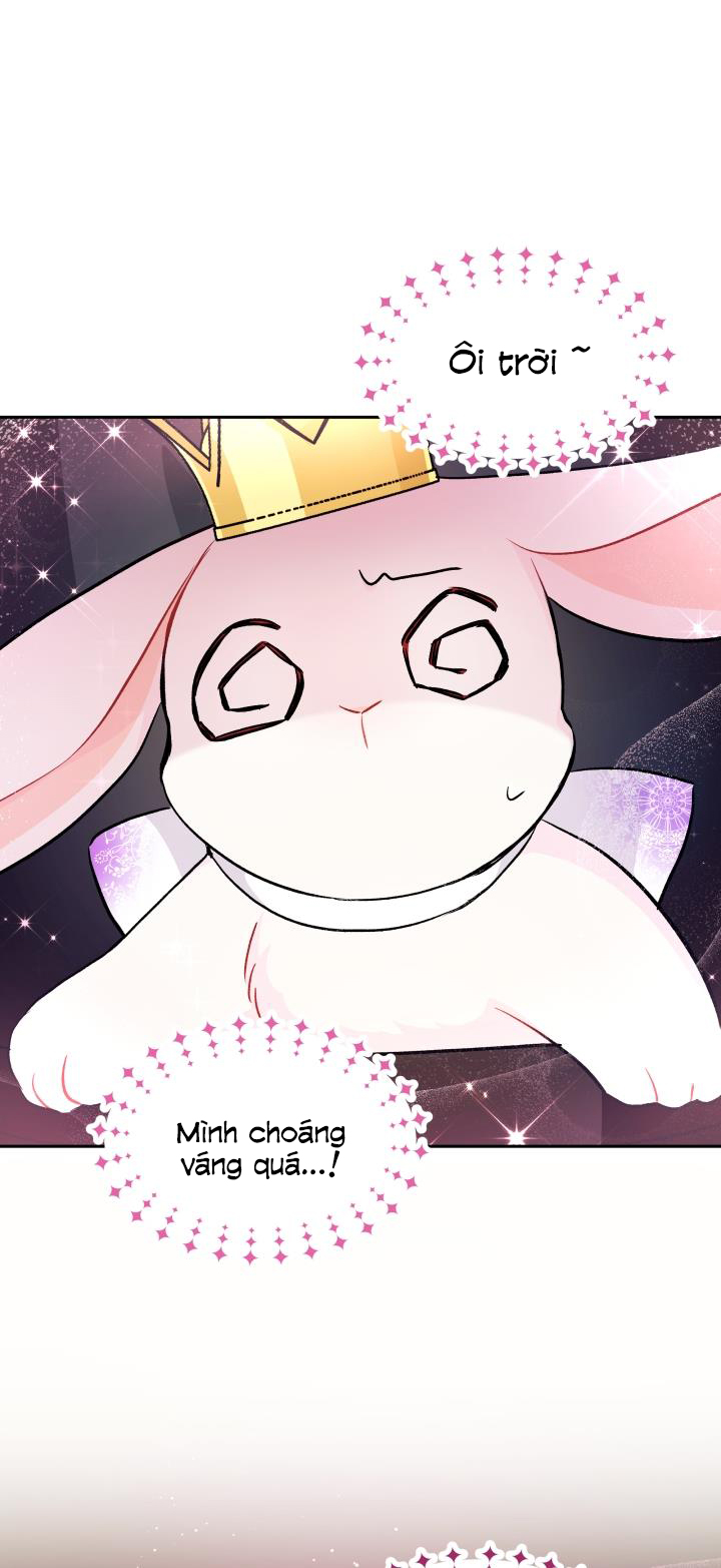 mối liên kết giữa báo đen và bé thỏ chapter 18 9