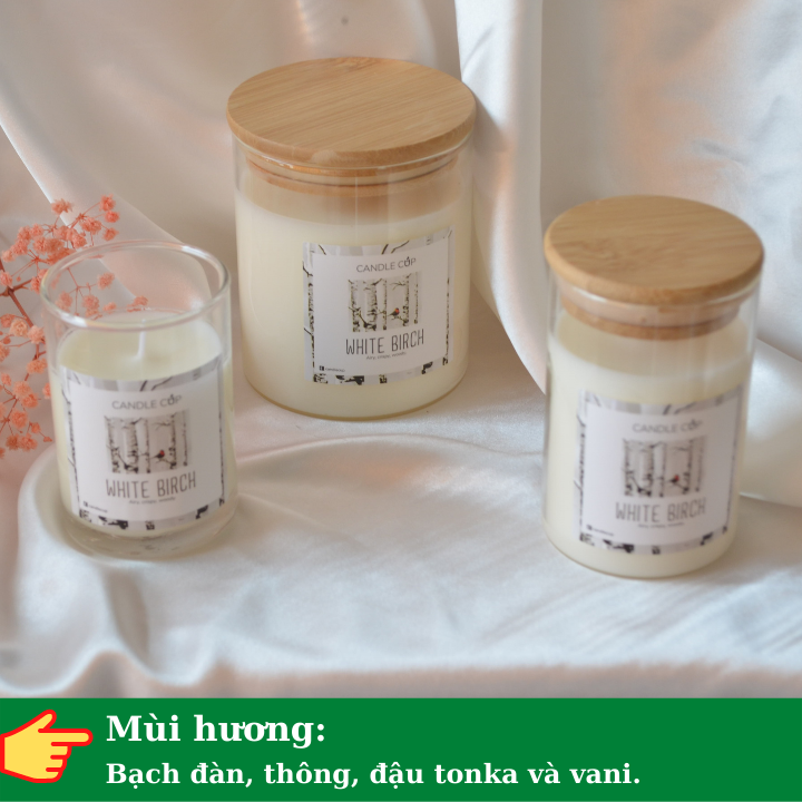 Nến thơm hương gỗ AGAYA Candle Cup hương bạch đàn, thông, đậu tonka và vani - Mùi WHITE BIRCH