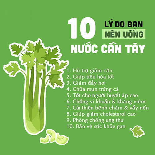 Bột Cần Tây Dalahouse - Công Nghệ Sấy Lạnh Nhật Giữ 90% Dinh Dưỡng Rau Tươi Theo Tiêu Chuẩn FDA Hoa Kỳ- 100% Fresh Natural Celery Powder (NPP Anni)