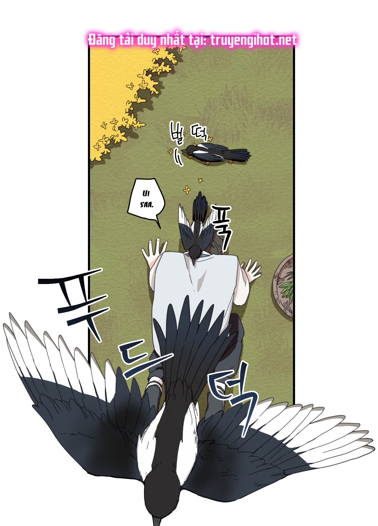 [18+] con đường hoa chuông vàng - liên kiều rơi chốn này chapter 1.1 25