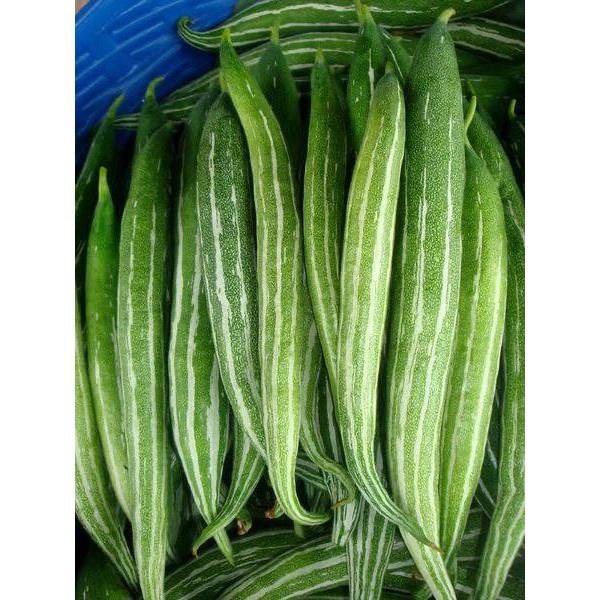 Hạt Giống Qủa Lặc Lày Sai Trái Trồng Quanh Năm Quy Cách 20-10-1 Hạt - khu Vườn Ban Công