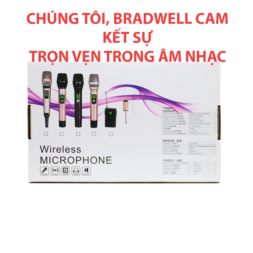 Bộ 2 micro không dây bradwell u-102 – Hàng chính hãng