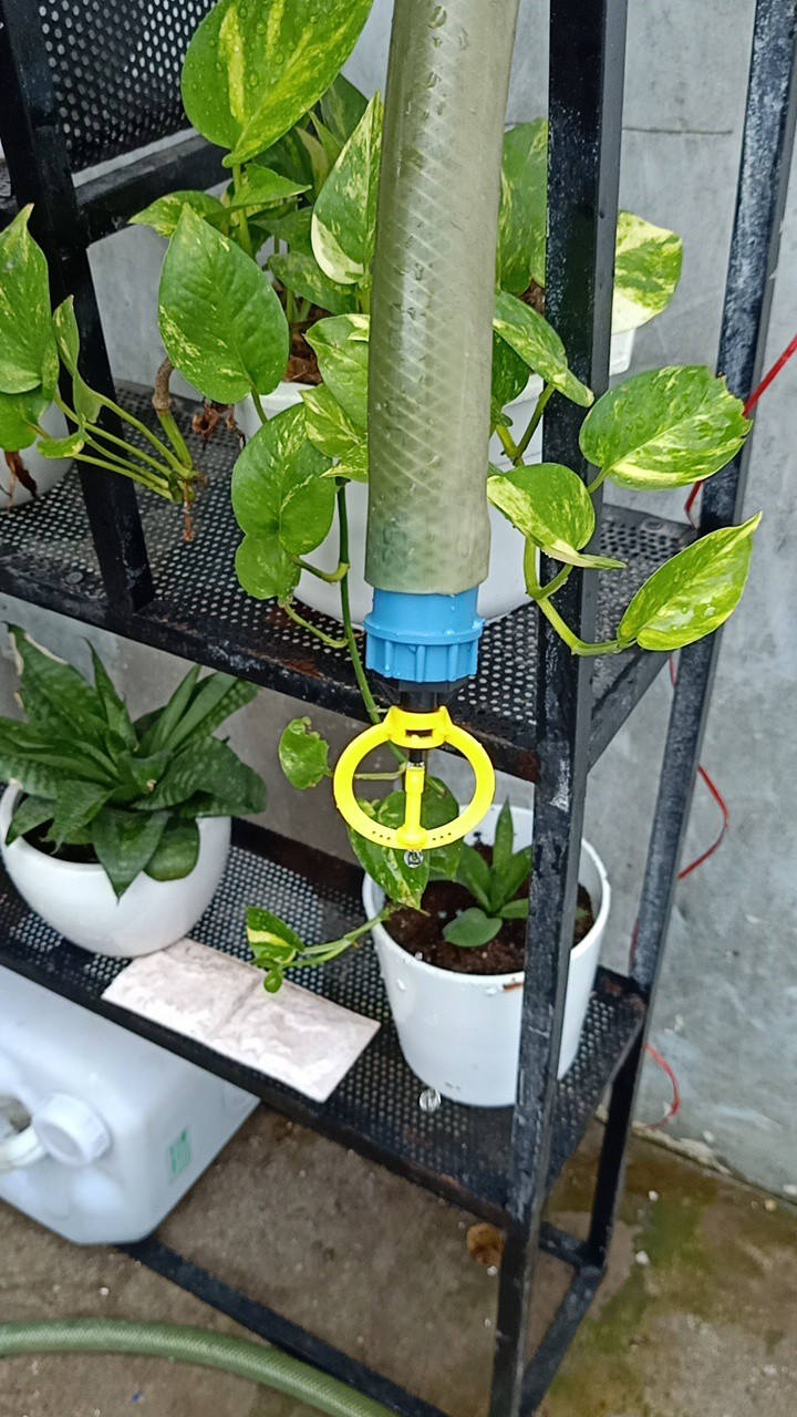 10 béc tưới phun sương tưới lan ren ngoài 21 mm, gắn vừa cả ống pe 6 li, béc chống