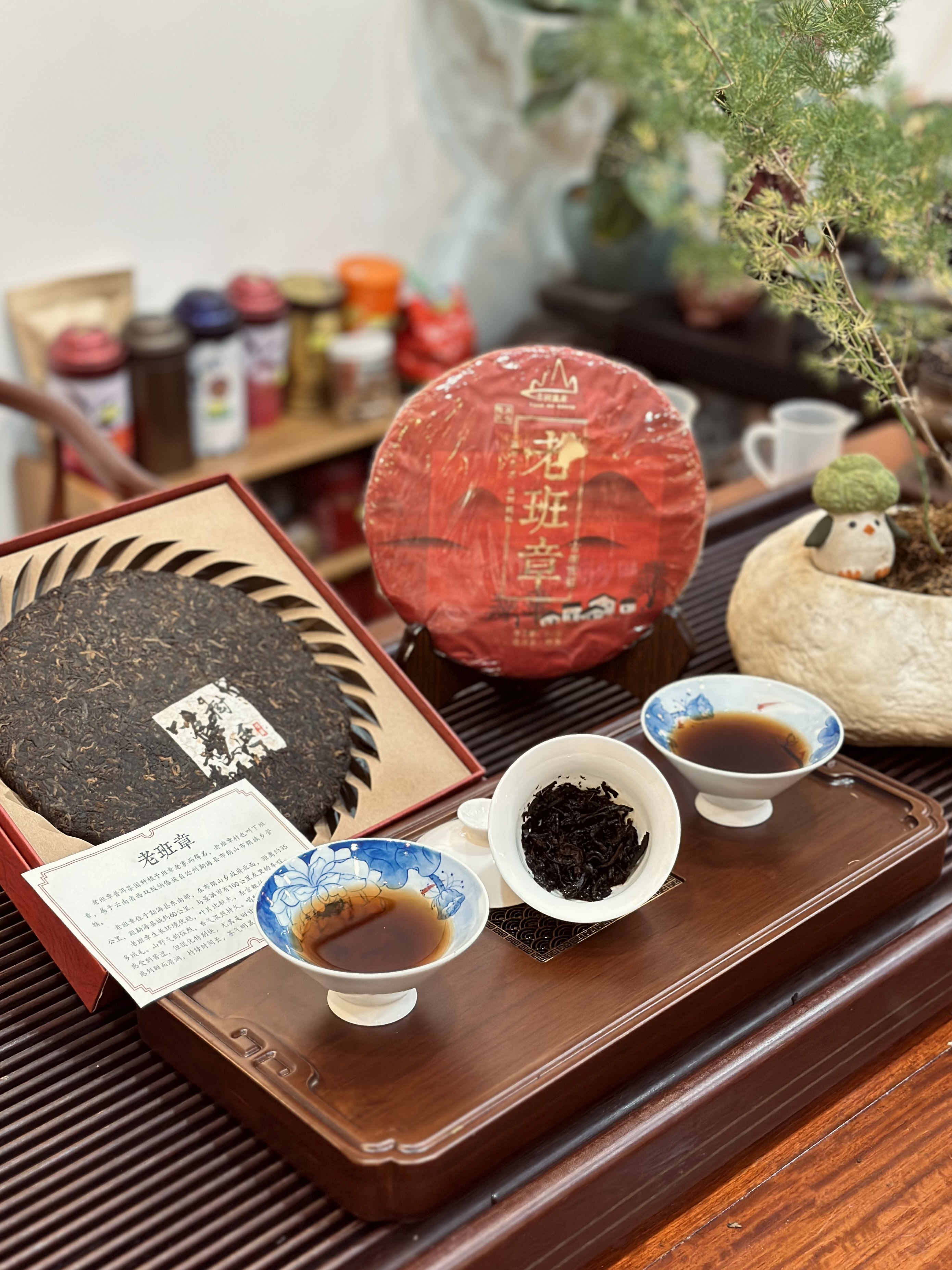 BÁNH TRÀ PHỔ NHĨ CHÍN "LÃO BANG CHƯƠNG" - 357G - TRÀ ĐẸP DA, NGỦ NGON - VIỆT LONG TRÀ