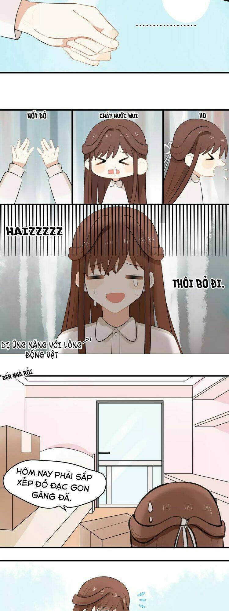 tiểu miêu và hắc diệu thạch chapter 1 13