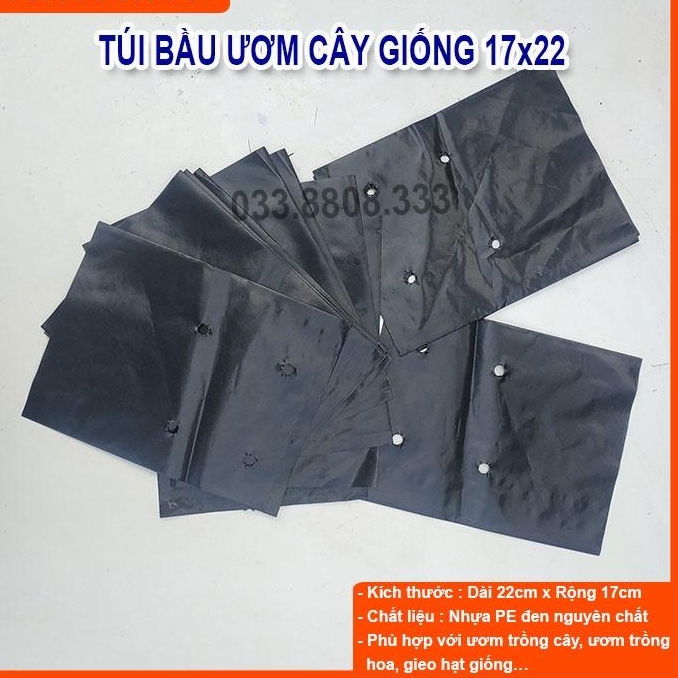 TÚI BẦU VUÔNG ĐEN DÙNG ƯƠM CÂY 1KG- CHẬU ƯƠM CÂY BỀN ĐẸP