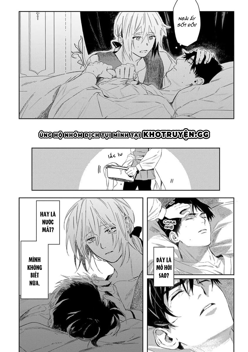 tình yêu hoa hồng dại chapter 2 4