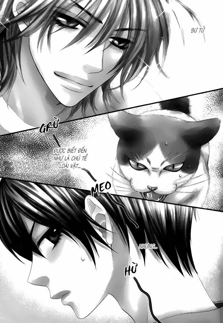 nekoka danshi no shitsukekata chapter 2 5