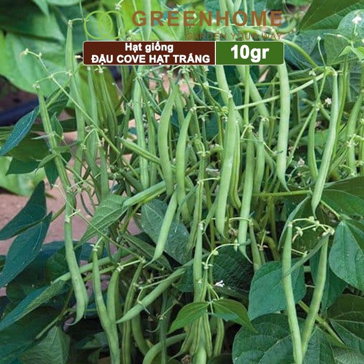 Hạt Giống Đậu Cove Greenhome, Gói 10gr, Dễ Trồng Quanh Năm, Nảy Mầm Cao, Thu Hoạch Nhanh, Năng Suất Cao T07