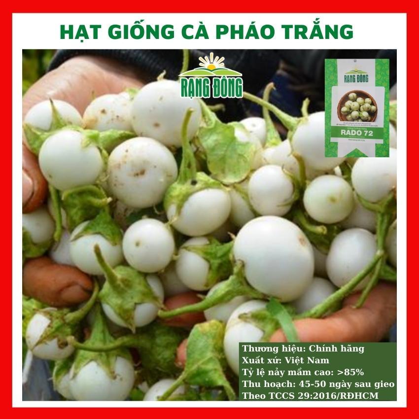 Hạt Giống Cà Pháo Trắng Cao Sản Gói 200 Hạt/50 Hạt Cây Trồng Ban Công - Khu Vườn Ban Công