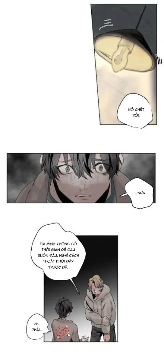 ánh nhìn của quạ chapter 5 14