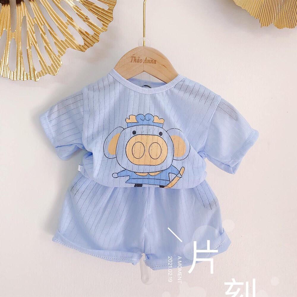 Bộ cotton giấy cộc tay, ngắn tay màu cho bé trai, bé gái, hàng loại 1, size 3-15kg
