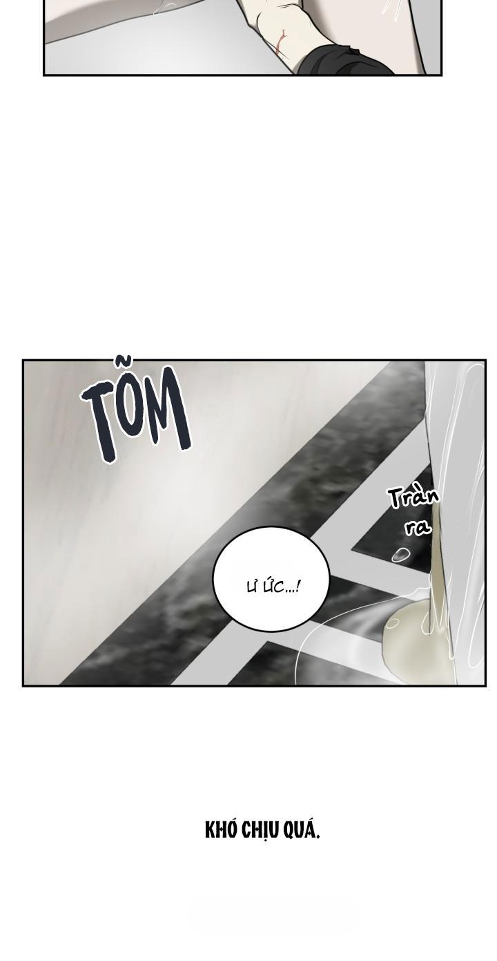 dưỡng thú cưng chapter 4 39