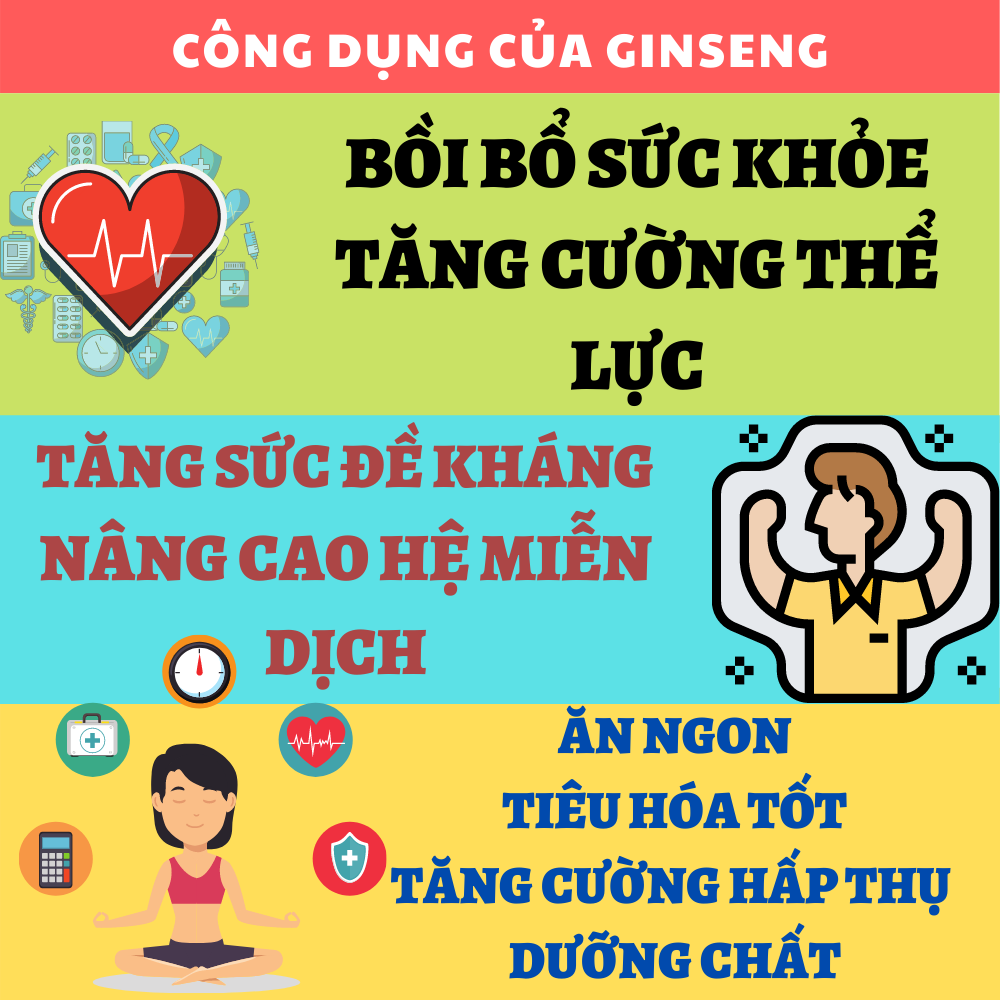 GINSENG TD - Viên uống Nhân Sâm Bồi bổ sức khỏe, tăng cường thể lực, tăng cường sức đề kháng, nâng cao hệ miễn dịch, giúp ăn ngon, tiêu hóa tốt, tăng cường hấp thu (Hộp 60 viên)