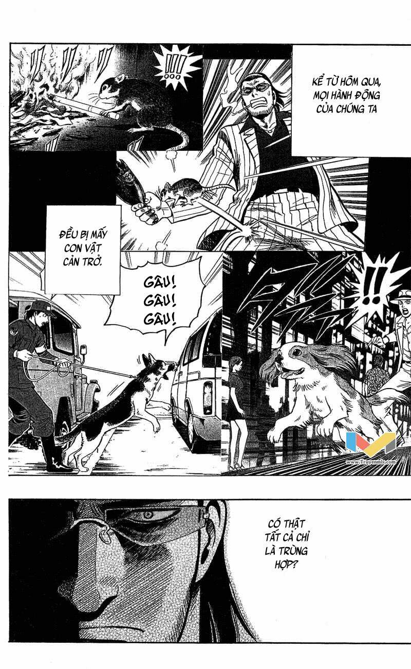 animal sense chapter 8 50