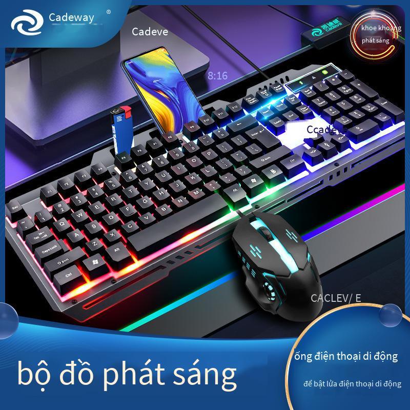 Giao hàng nhanh Kaidiwei có dây usb phím dạ quang bộ chuột máy tính người thao tác cảm thấy bàn phím có đèn nền bộ chuột bàn phím