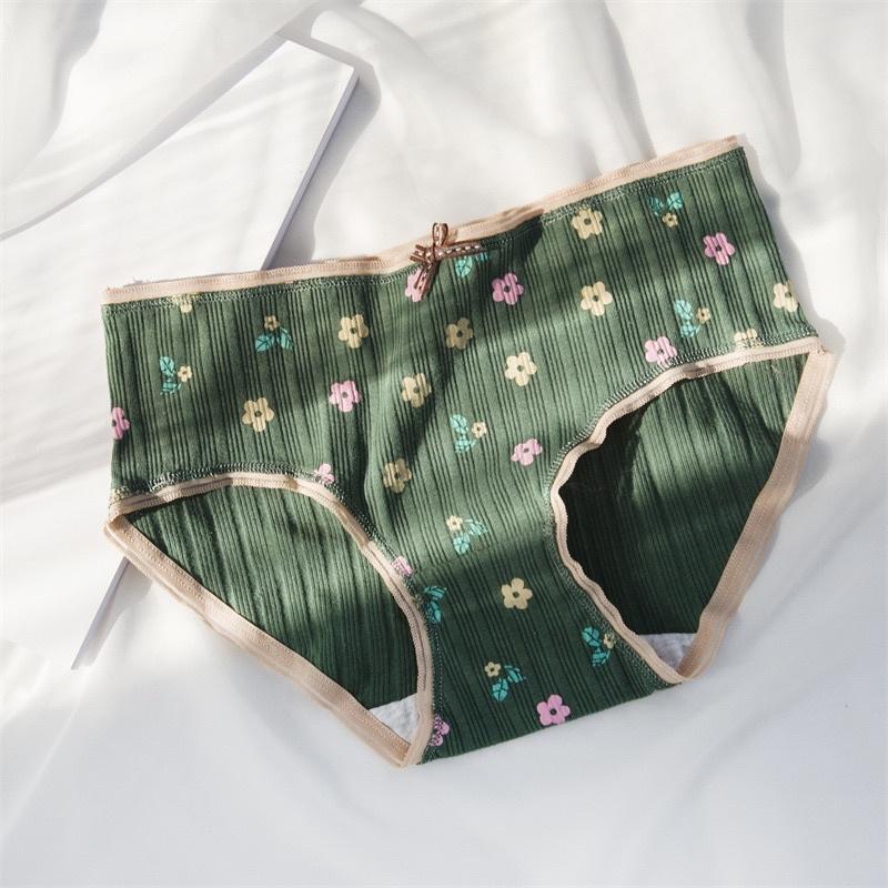 Quần Lót Nữ Cotton Siêu Thoáng Nâng Mông Dâu Khủng Long Xanh QL07