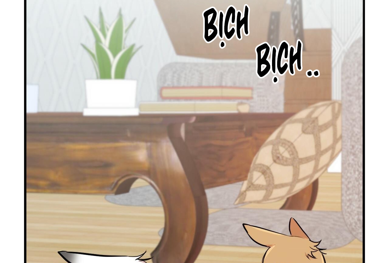 đàn thỏ của habibi chapter 28 160