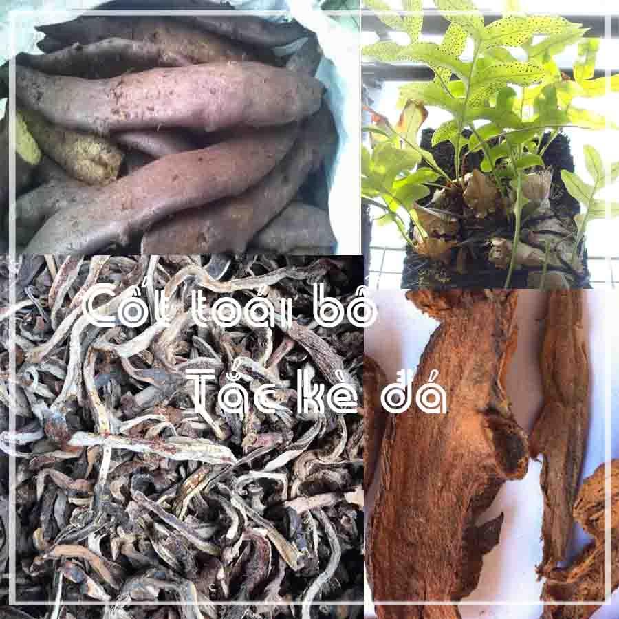 Tắc Kè Đá (Cốt Toái Bổ) khô 500gram