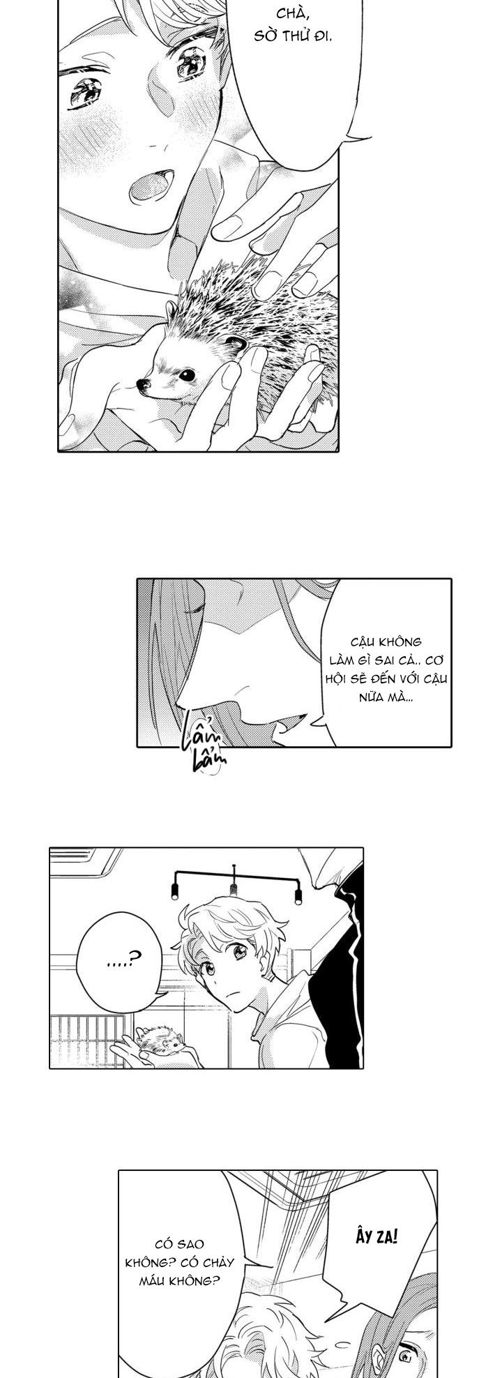 hiyoko-chan to harinezumi-kun chapter 8 36