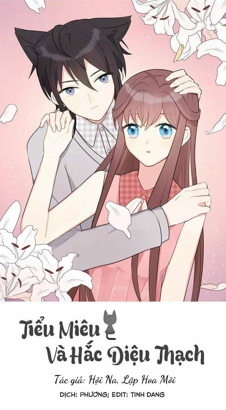 tiểu miêu và hắc diệu thạch chapter 8 1