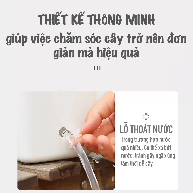Chậu trồng cây thông minh SC06. Thiết kế 2 lớp, có chức năng cung cấp nước cho cây