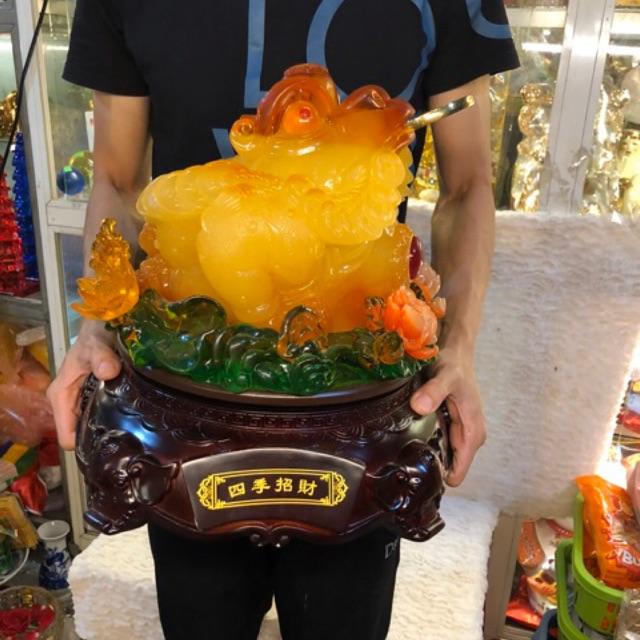 Cóc đại phong thuỷ