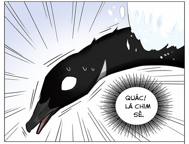 sẻ chiếu mới và nhạn phong sương chapter 6 11