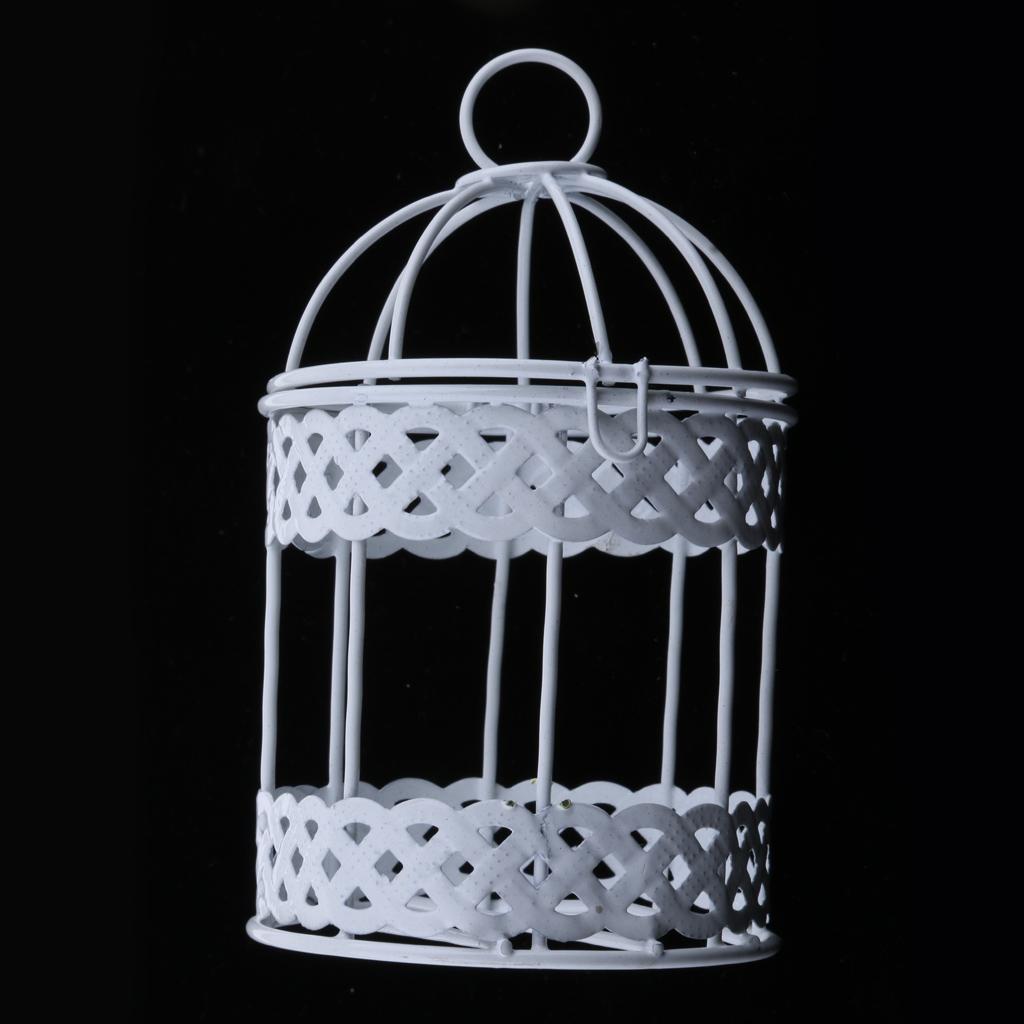 2Pcs Iron Birdcage Frame Wire Succulent Pot Metal Planter Iron Plant Basket