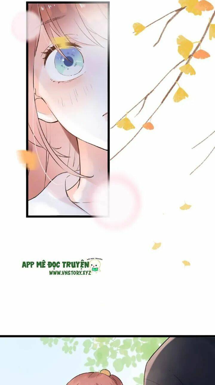 trạch thượng tịch mịch huỳnh hỏa chapter 44 7