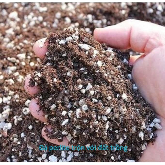 Đá Perlite - Đá Trân Châu Trồng Cây - Giá thể trồng cây siêu tốt