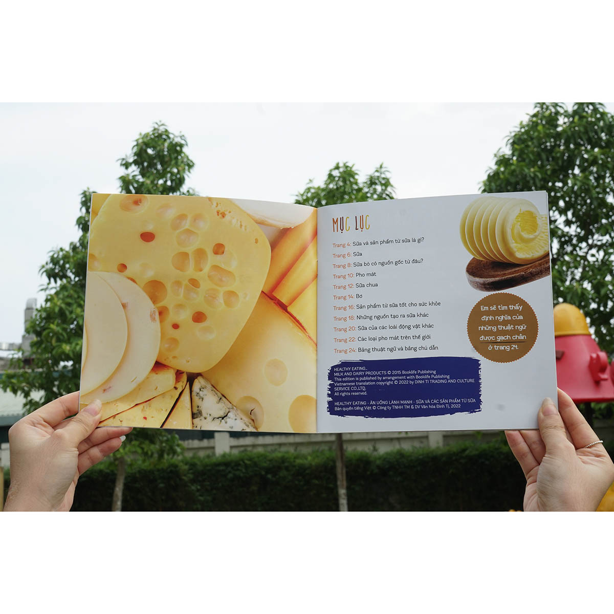 Combo : Healthy eating - Ăn uống lành mạnh