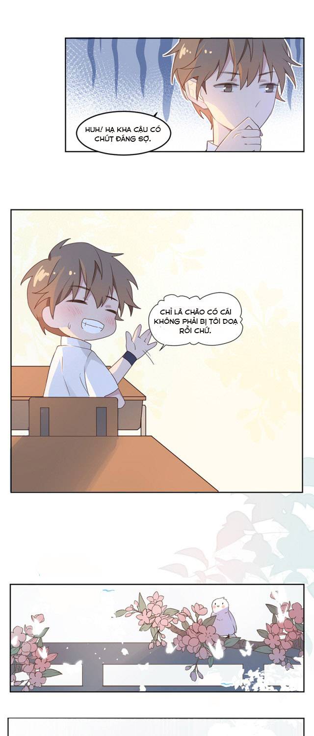 mối tình đầu của cậu ấy là tôi chapter 1 11