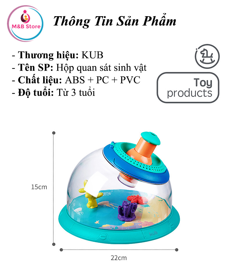 Hộp Quan Sát Sinh Vật, Côn Trùng - KUB