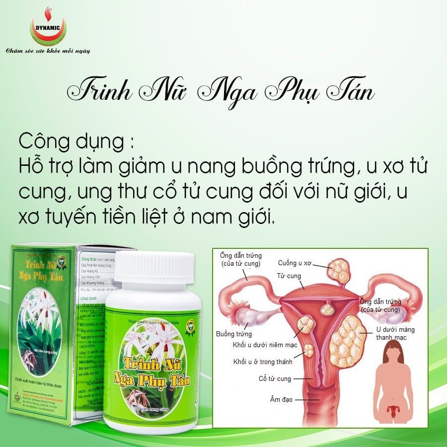 TRINH NỮ  NGA PHỤ TÁN - NĂNG ĐỘNG - GIẢM U NANG BUỒNG TRỨNG, U XƠ TỬ CUNG