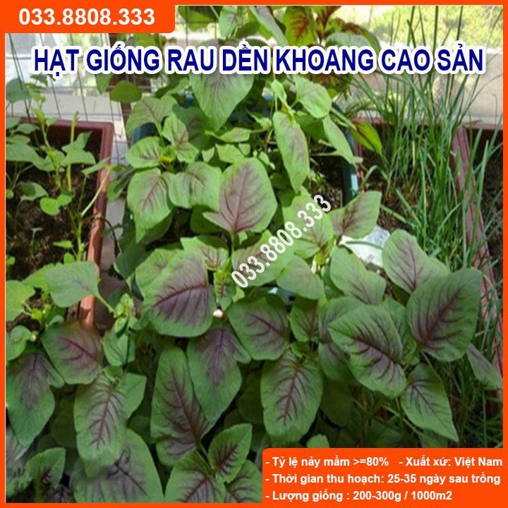 Hạt Giống Rau Dền Khoang 20gram -Tỷ Lệ Nảy Mầm Cao