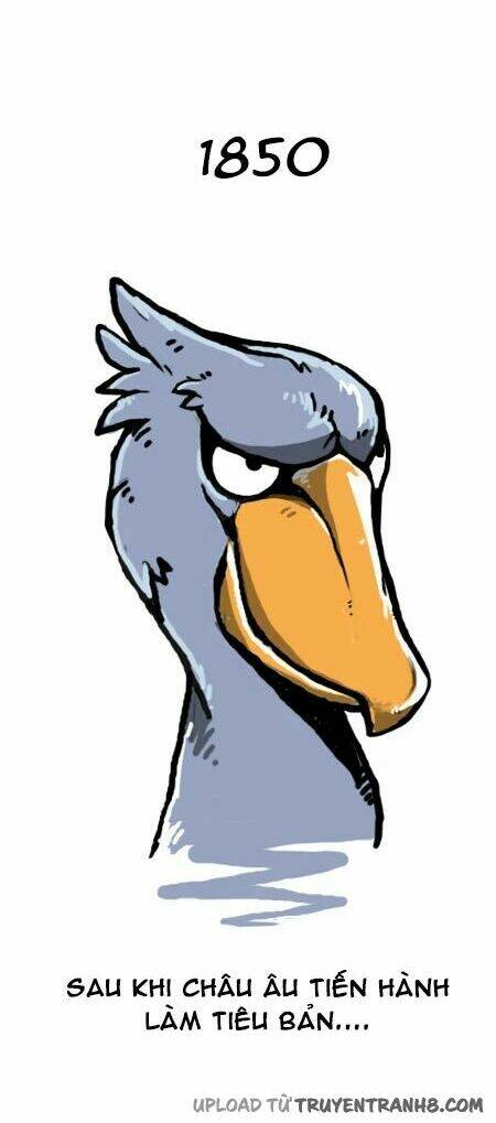 earth, human, and animal chapter 14 21