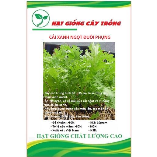 Hạt giống rau cải đuôi phượng xanh - 1 gói 10gram