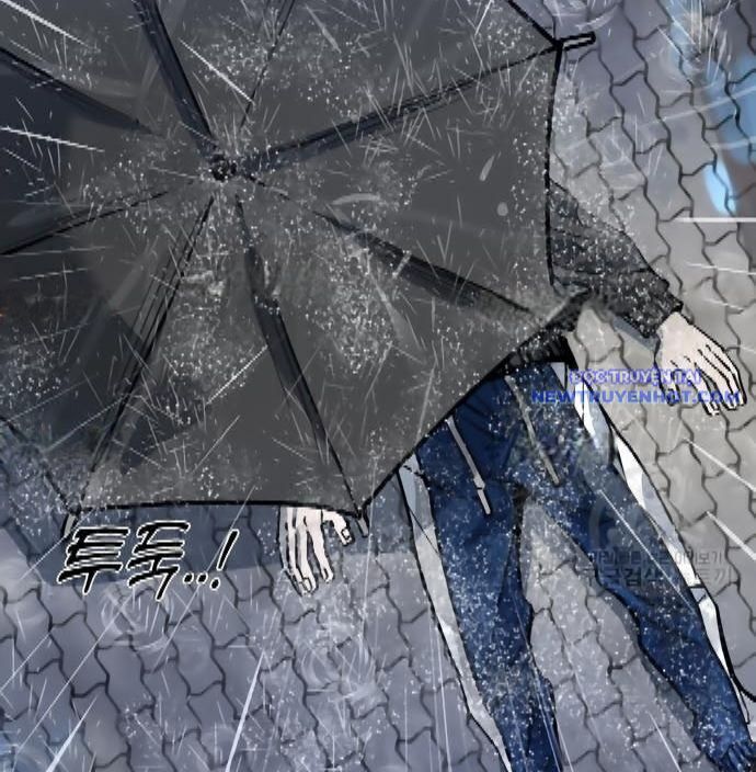 shark - cá mập chapter 299 11