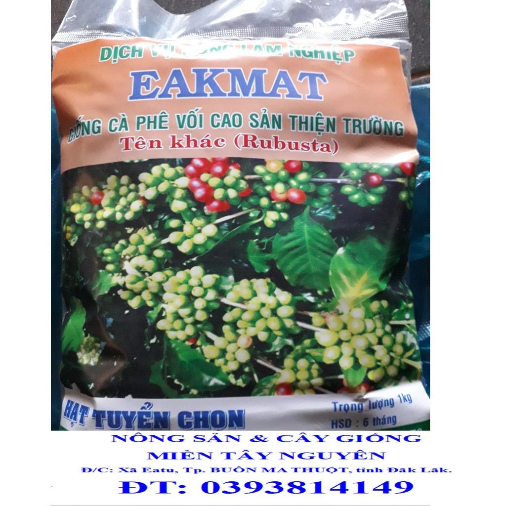 0,5 KG HẠT GIỐNG CÀ PHÊ THIỆN TRƯỜNG CAO SẢN -