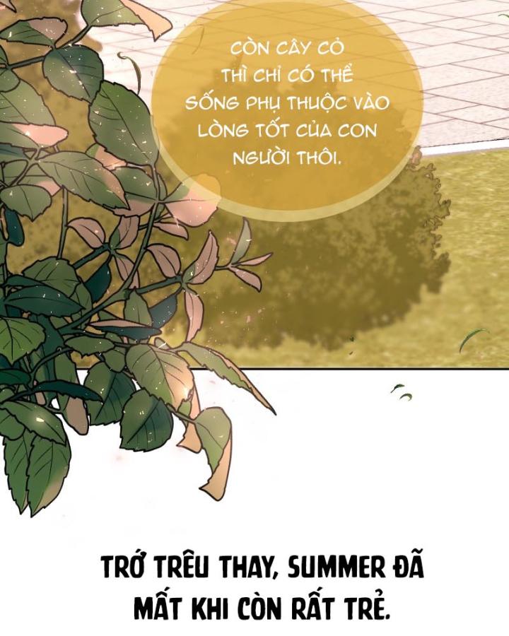 cô vợ thế thân của tỉ phú chapter 1 25